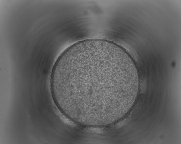 X0000094191086200711241610