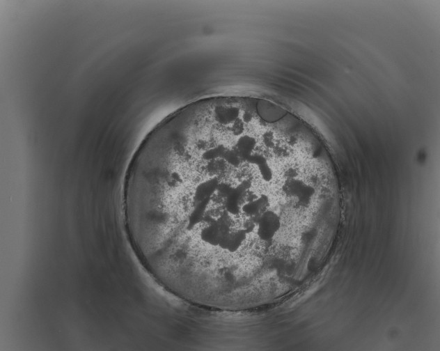 X0000094191087200711241610