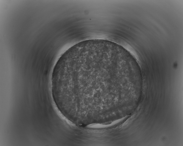 X0000094191088200711241610