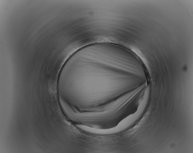 X0000094191089200711241610