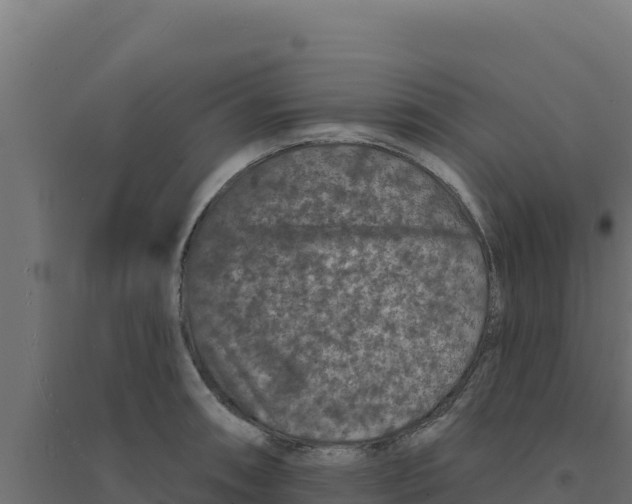 X0000094191090200711241610