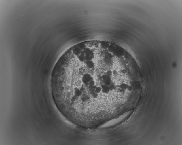 X0000094191091200711241610