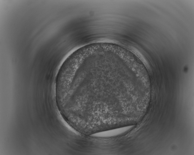 X0000094191092200711241610