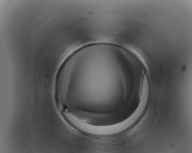 X0000094191093200711241610