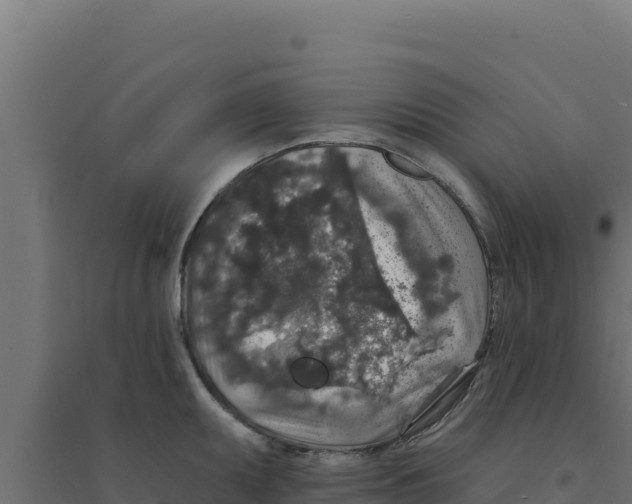 X0000094191095200711241610