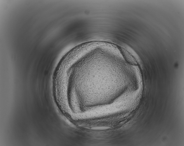 X0000094191096200711241610