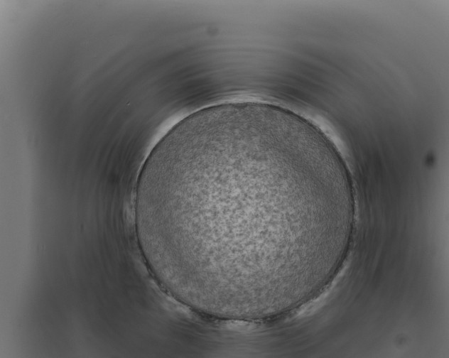 X0000094191097200711241610