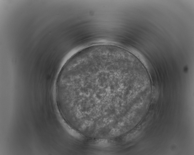 X0000094191098200711241610