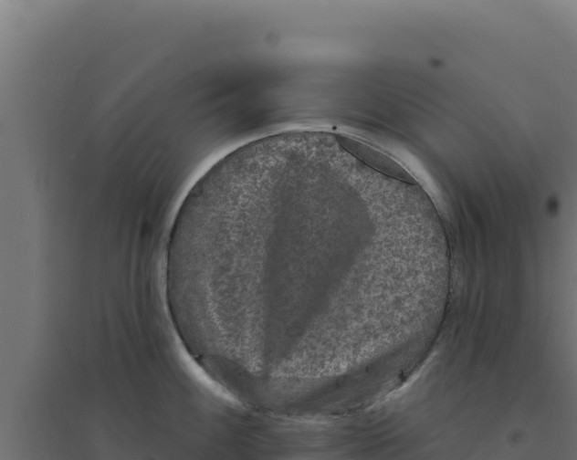 X0000094191100200711241610