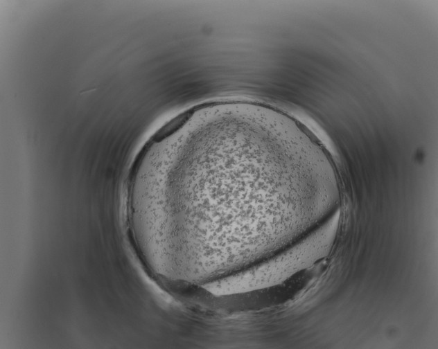 X0000094191101200711241610