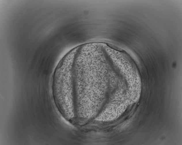 X0000094191102200711241610