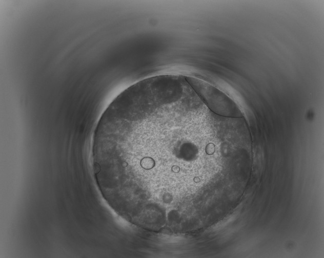 X0000094191103200711241610