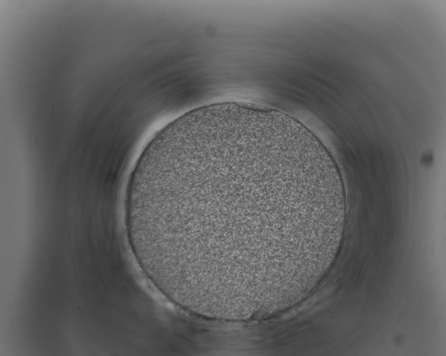 X0000094191104200711241610