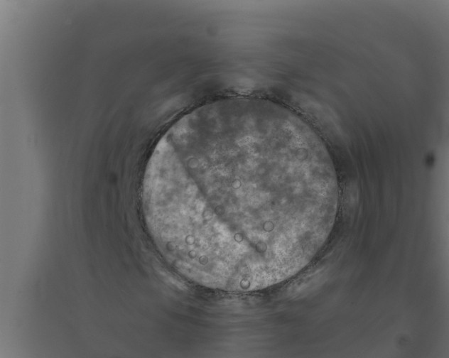 X0000094191105200711241609