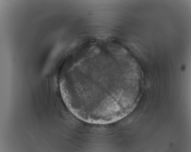 X0000094191106200711241609