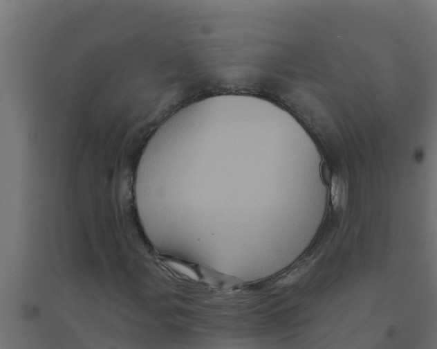 X0000094191107200711241609