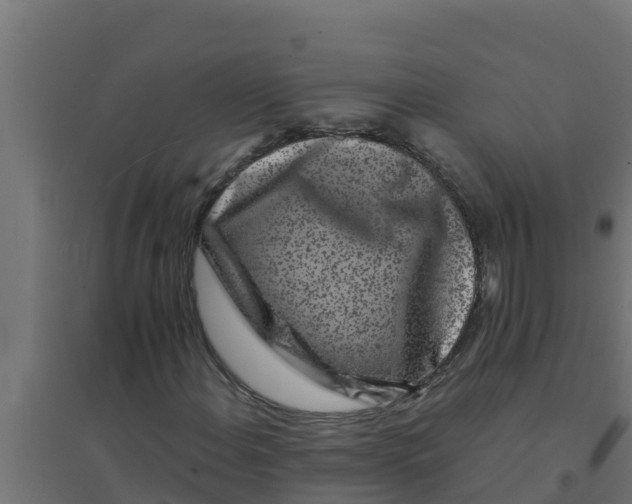 X0000094191108200711241609