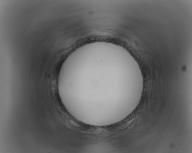 X0000094191109200711241609