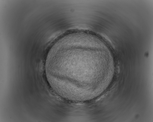 X0000094191110200711241609