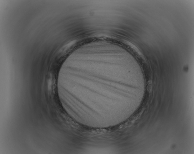 X0000094191111200711241609