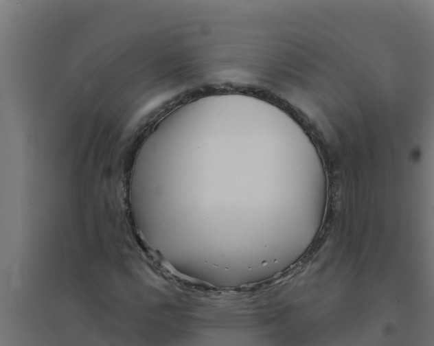 X0000094191112200711241609