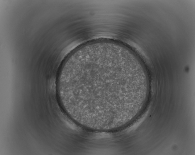 X0000094191113200711241609