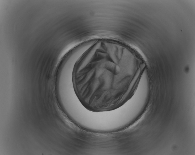 X0000094191114200711241609