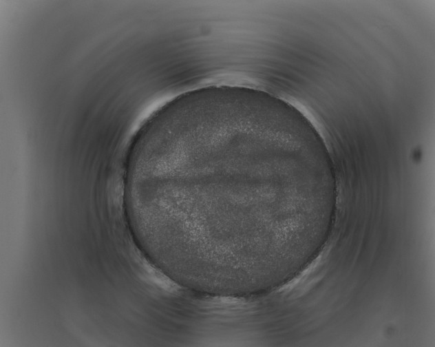 X0000094191115200711241609