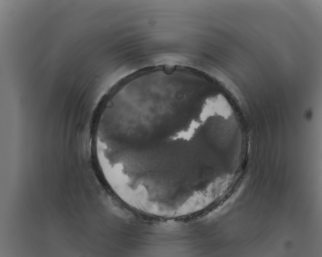 X0000094191117200711241609