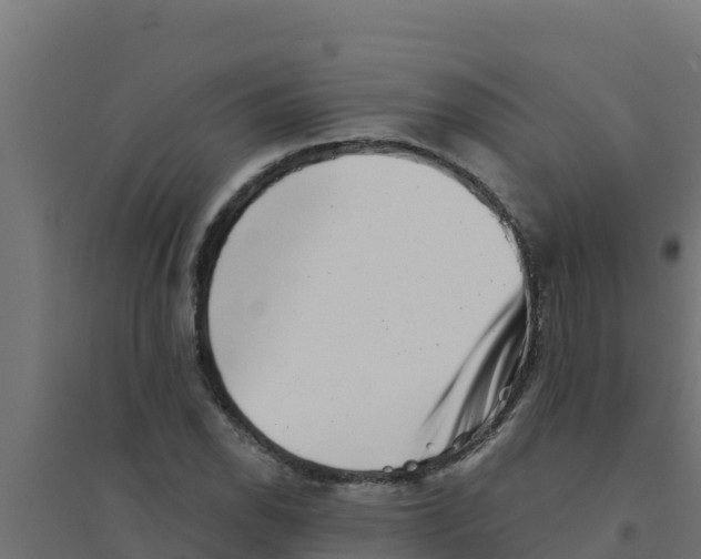 X0000094191118200711241609