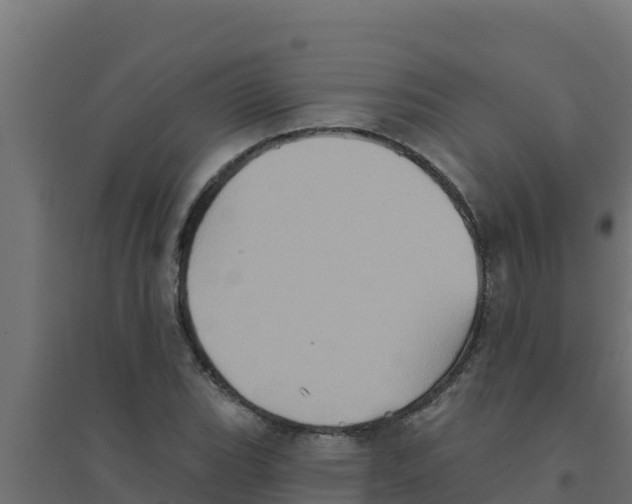 X0000094191119200711241609