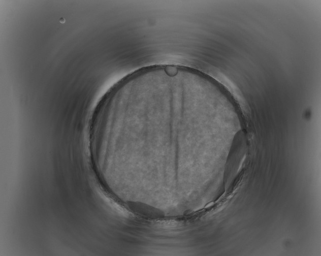 X0000094191120200711241609