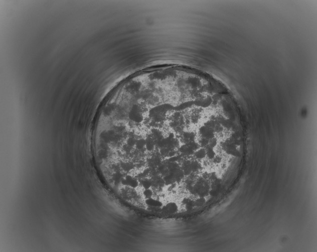 X0000094191121200711241609