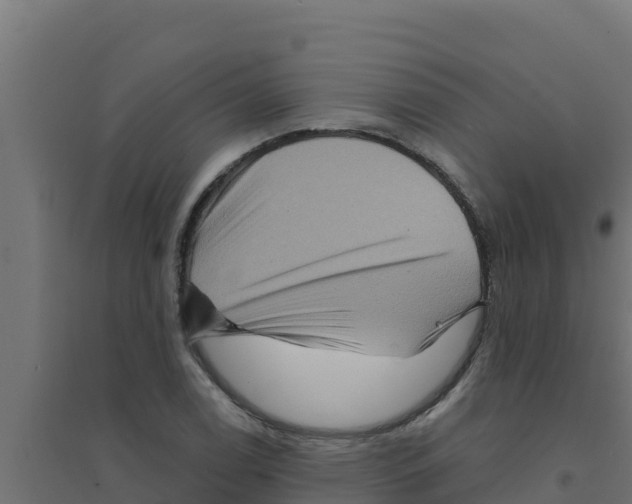 X0000094191122200711241609