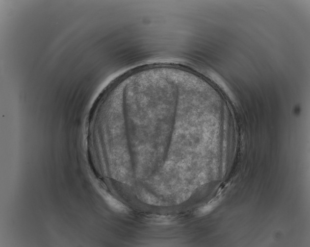 X0000094191124200711241609