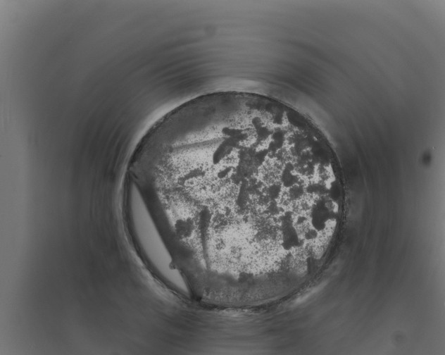 X0000094191125200711241609