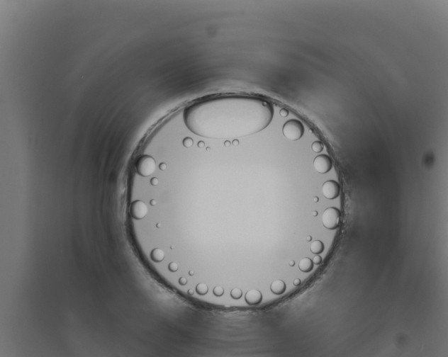 X0000094191126200711241609