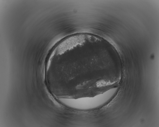 X0000094191127200711241609