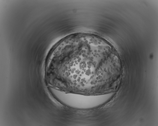 X0000094191128200711241609