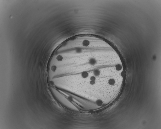 X0000094191129200711241609