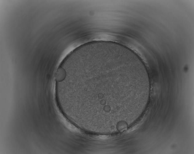 X0000094191130200711241609