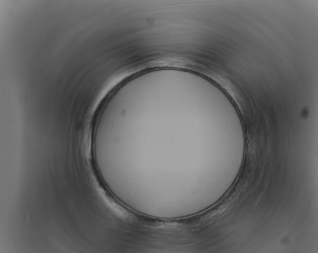 X0000094191131200711241609