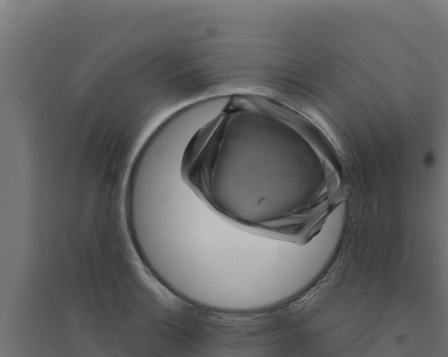 X0000094191132200711241609