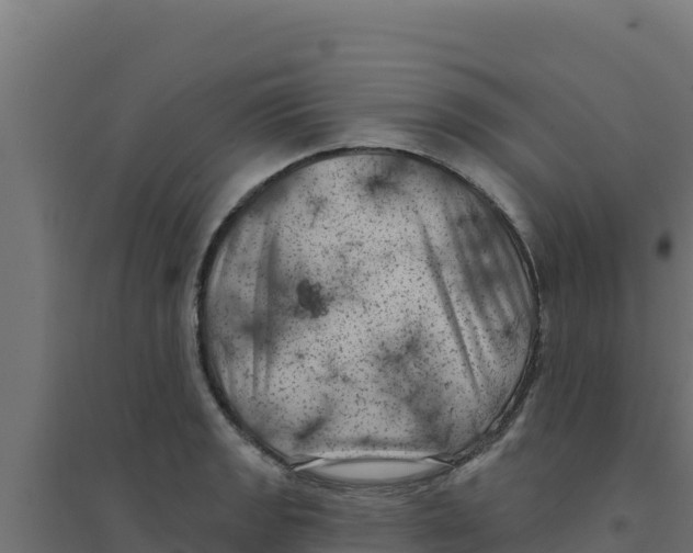 X0000094191133200711241609