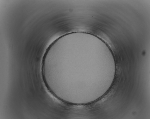 X0000094191135200711241609