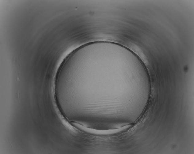 X0000094191136200711241609