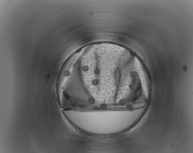 X0000094191137200711241609