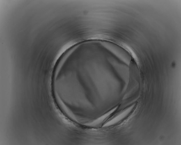 X0000094191138200711241609