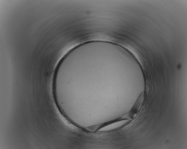 X0000094191139200711241609