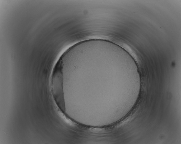 X0000094191140200711241609